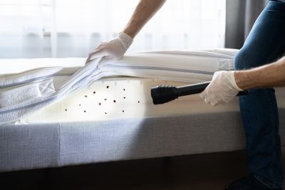 Commercial Bed Bugs Pest Control