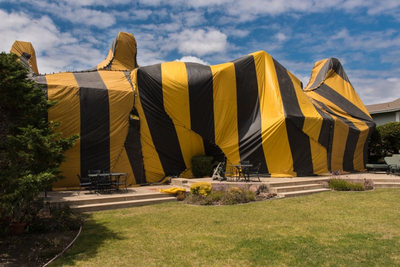 Commercial Fumigation
