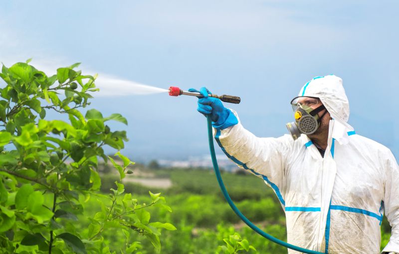Commercial Fumigation in Winston Salem, NC