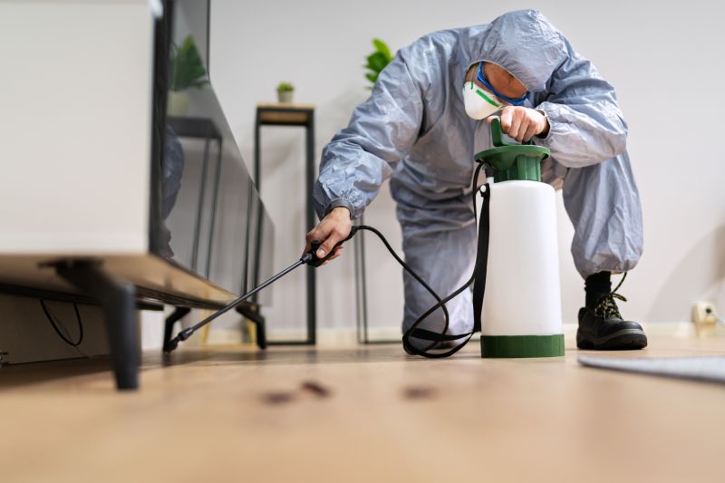 Residential Fumigation in Asheville, NC