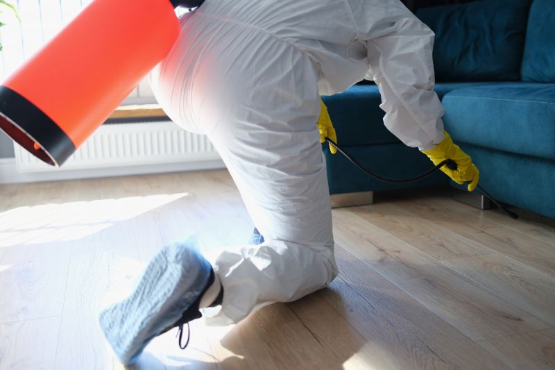 Spider Fumigation Service in Winston Salem, NC