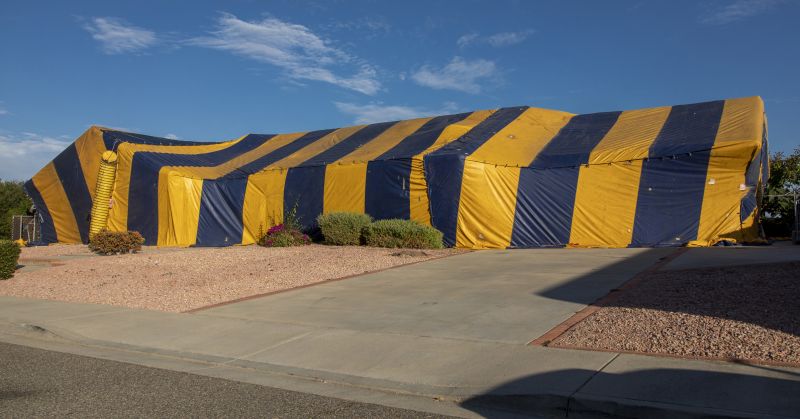 Termite Tenting in Tampa, FL