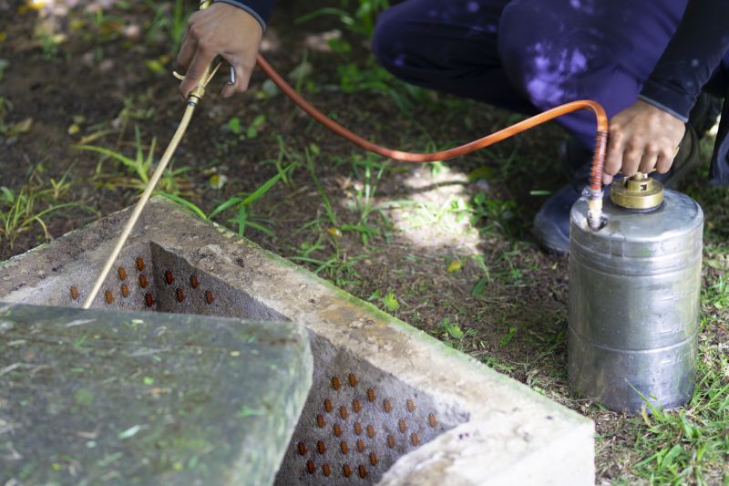 Fumigation Service in Madison, WI