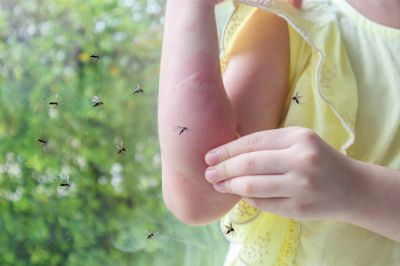 Keep Your Property Safe and Clean By Getting Professional Insect Control!