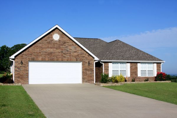 Can Pest Control Improve My Home’s Value?