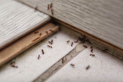 Avoid Extensive Property Damage!