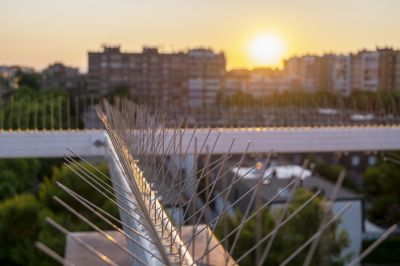 Bird Spikes Are Humane, and Simply Deter Birds From Landing on Your Property!