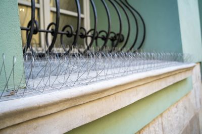 Keep Birds From Spreading Disease and Bacteria!