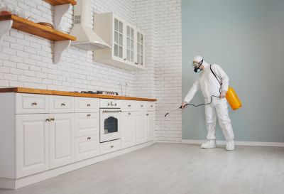 Get Professional Extermination!