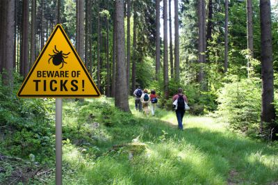 Ticks Are Known To Spread Dangerous and Harmful Diseases