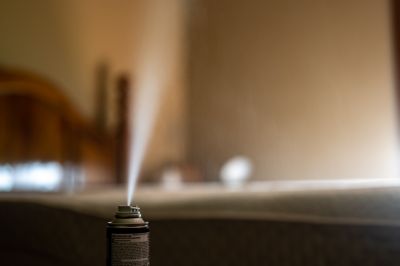 Ensure Top Quality Fumigation Service By Hiring a Professional!