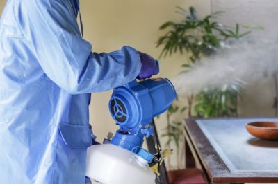 Prevent Property Damage and The Spread of Disease With Professional Fumigation Service!