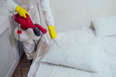 Get Bedbug Control Now!