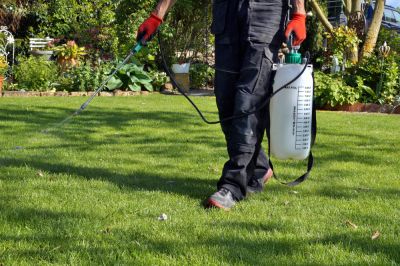 Lawn Pest Control