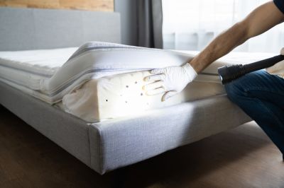 Bed Bug Extermination - Bed Bug Extermination Yuma, Arizona